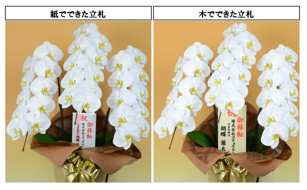 胡蝶蘭の贈答に必須の 立札 役割と種類を写真付き解説 胡蝶蘭ステーション