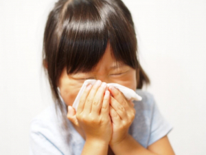 【花粉症などのアレルギー】胡蝶蘭の花粉は？アレルギーは存在するの？