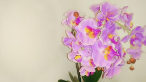 造花としての胡蝶蘭の特徴「光触媒に隠された効果とは」