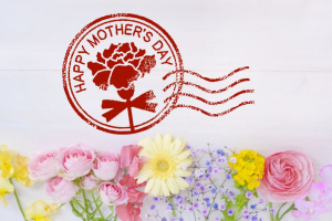 母の日の胡蝶蘭を買うと特別なラッピングやメッセージカードが付けられる通販サイト特集2018