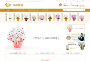 企業・法人としての購入に適した通販サイトを紹介「日本胡蝶蘭」